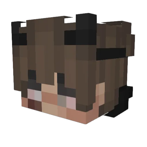Mokolein Minecraft avatar head, 3D render