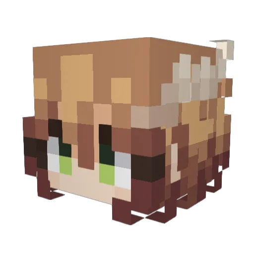 Mokrox Minecraft avatar head, 3D render