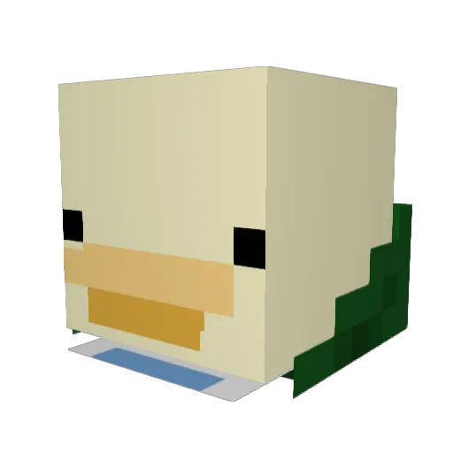 Mokturtle Minecraft avatar head, 3D render