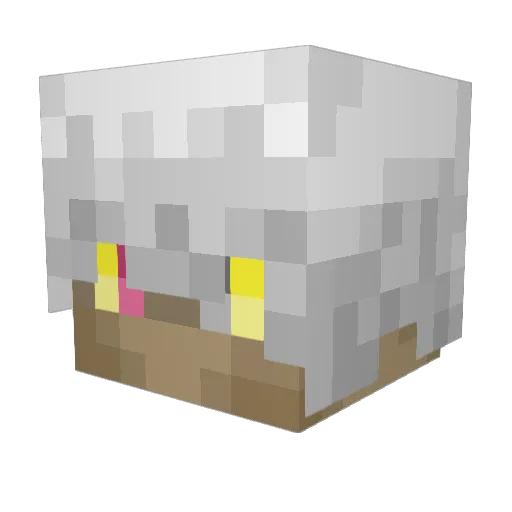 MokuWasTaken Minecraft avatar head, 3D render