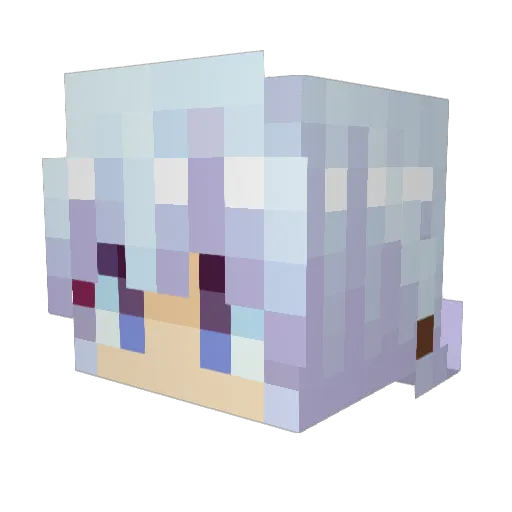 Mokun_4545 Minecraft avatar head, 3D render