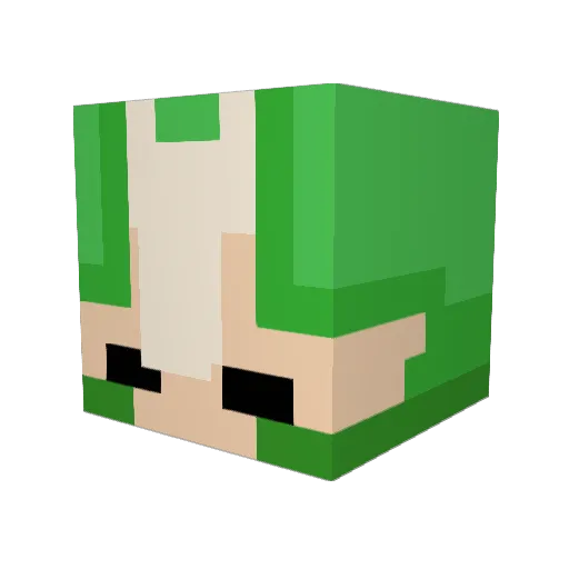Mokushi_ Minecraft avatar head, 3D render