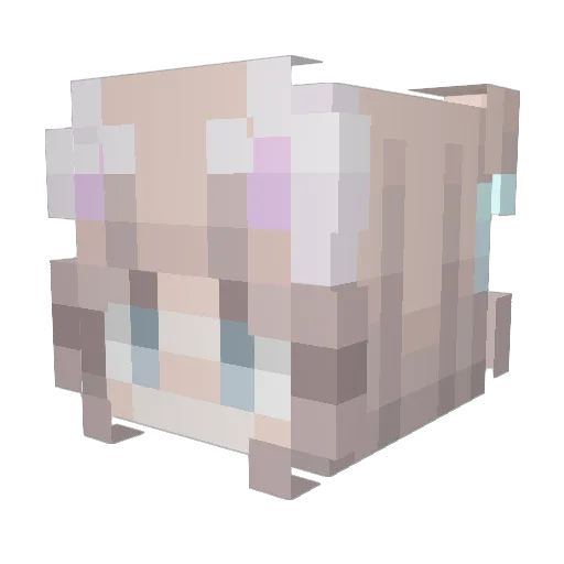 MokyNZ Minecraft avatar head, 3D render