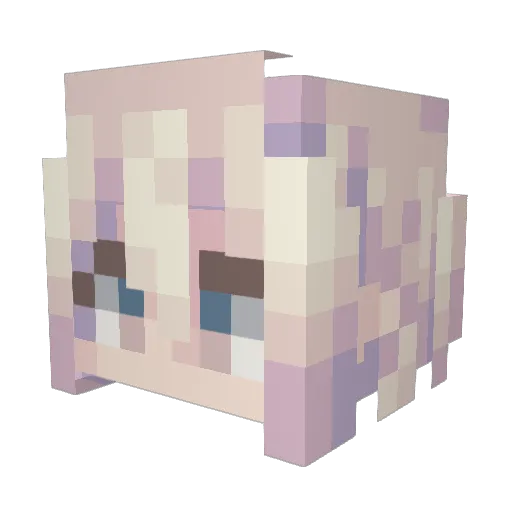 Molan_Di Minecraft avatar head, 3D render