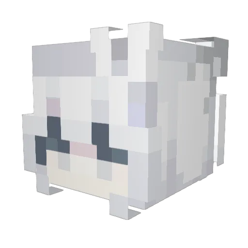 MolarFriend6 Minecraft avatar head, 3D render