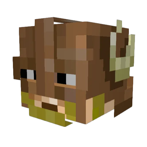 Moldaw65 Minecraft avatar head, 3D render