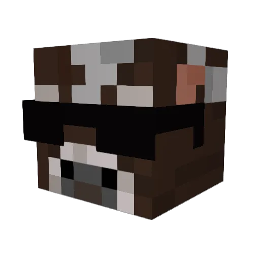 Molden911 Minecraft avatar head, 3D render