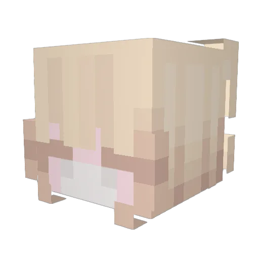 MoldyBeeSock Minecraft avatar head, 3D render