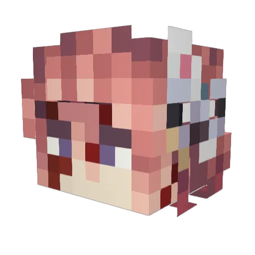 MoldyFlesh Minecraft avatar head, 3D render