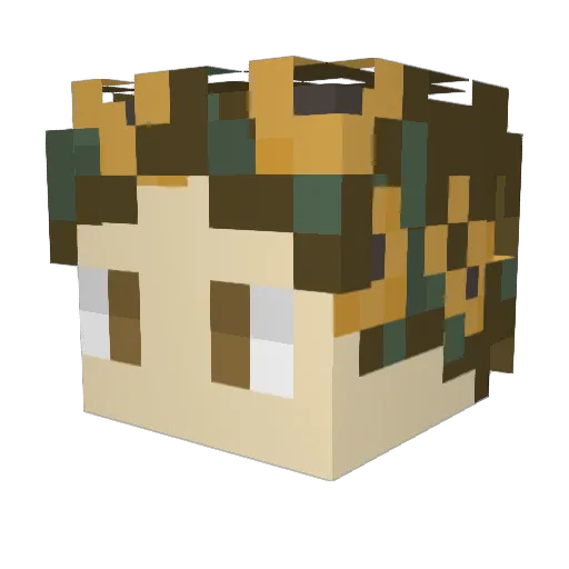 MoldyLemon8_8 Minecraft avatar head, 3D render