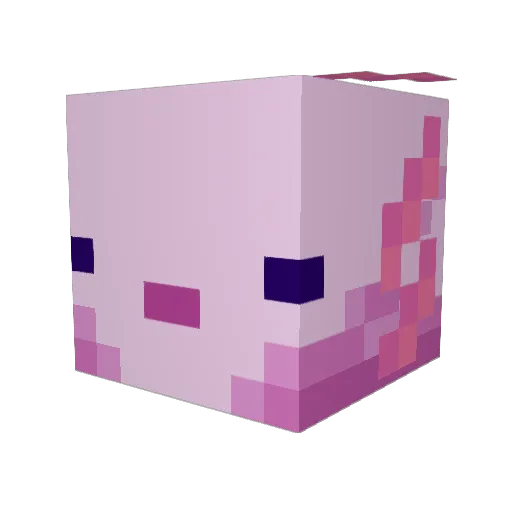 Moldy_cumrag Minecraft avatar head, 3D render