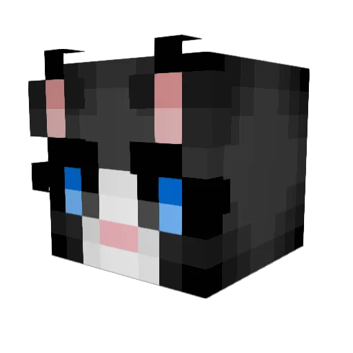 MoleWynn Minecraft avatar head, 3D render