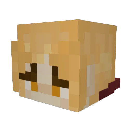 MolearyMO Minecraft avatar head, 3D render