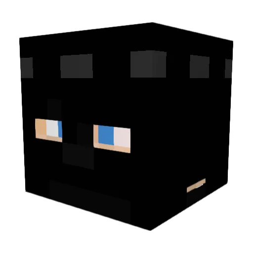 Moleo111 Minecraft avatar head, 3D render