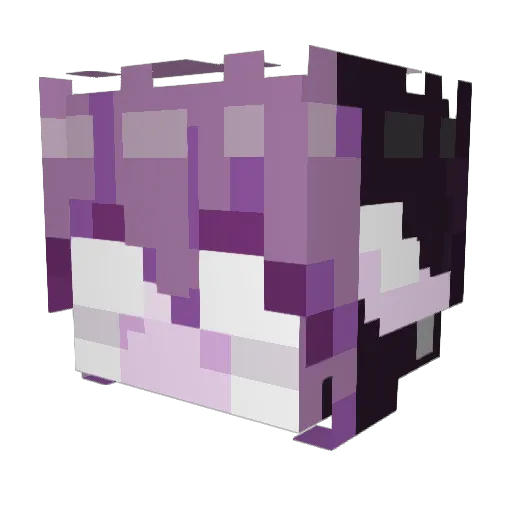 MolieMumbles Minecraft avatar head, 3D render