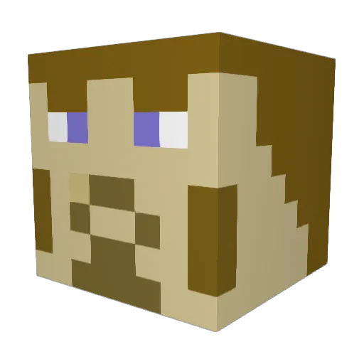 Molland Minecraft avatar head, 3D render