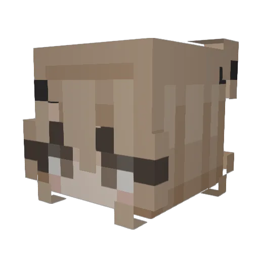 Molle007 Minecraft avatar head, 3D render