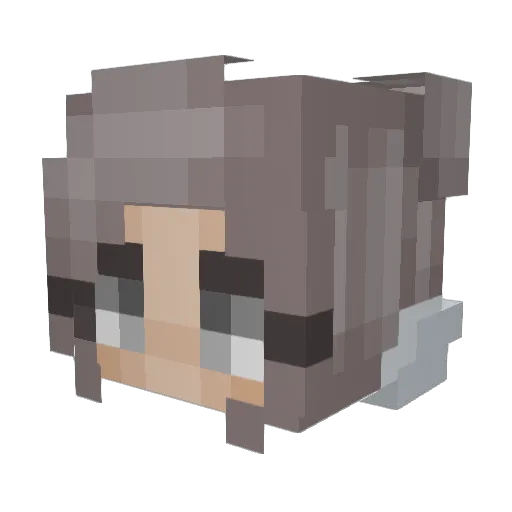 MollsBolls Minecraft avatar head, 3D render
