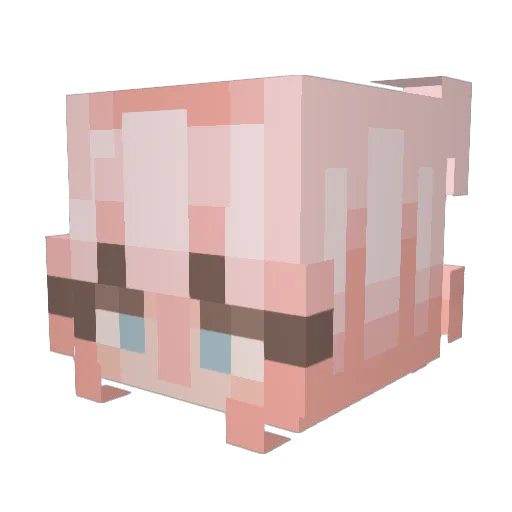 Mollsito Minecraft avatar head, 3D render