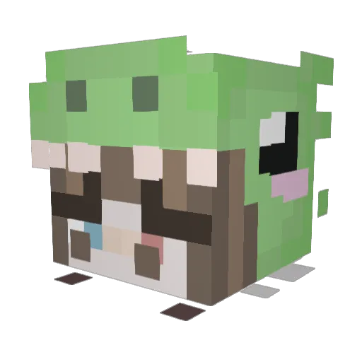 Molly0230 Minecraft avatar head, 3D render