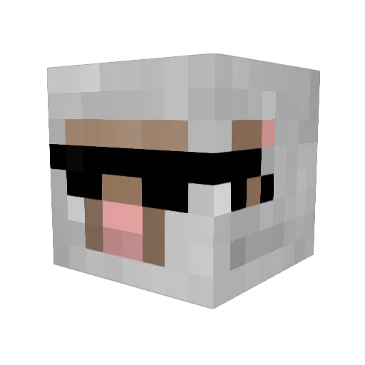 Molly315 Minecraft avatar head, 3D render