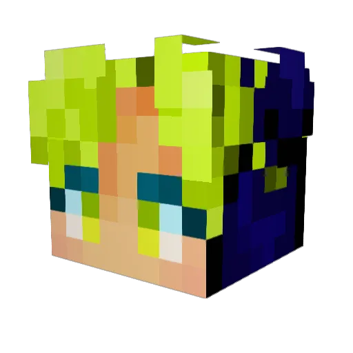 Mollydedog Minecraft avatar head, 3D render
