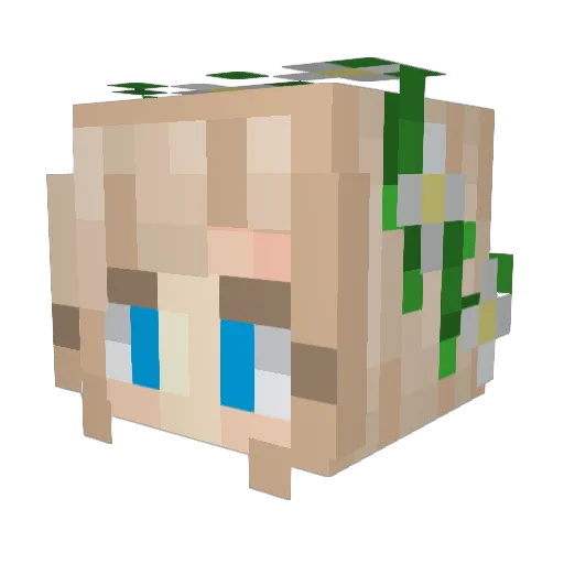 Mollyj11 Minecraft avatar head, 3D render