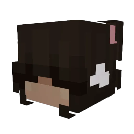 Mollypooh Minecraft avatar head, 3D render