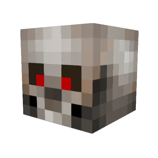MolotovCockatoo Minecraft avatar head, 3D render