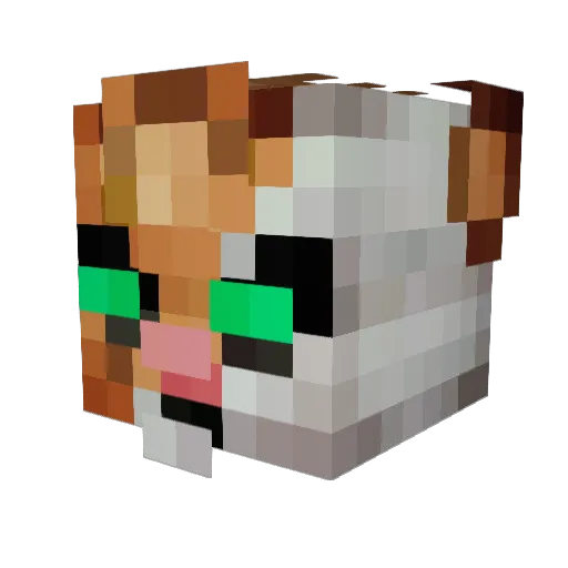 Momdra Minecraft avatar head, 3D render