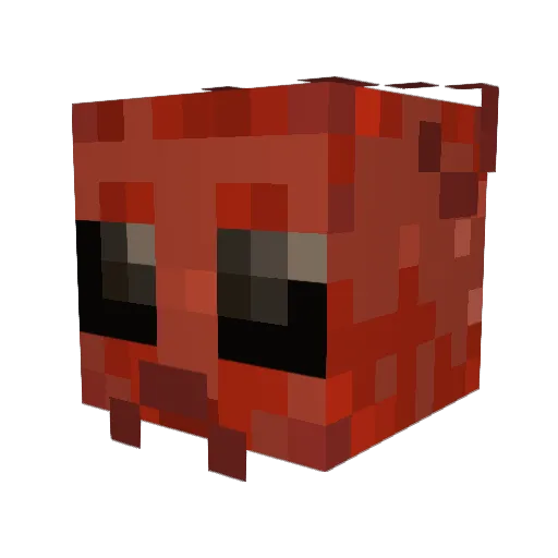 Momentuus Minecraft avatar head, 3D render