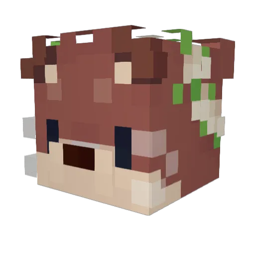 MomiziInubashiri Minecraft avatar head, 3D render