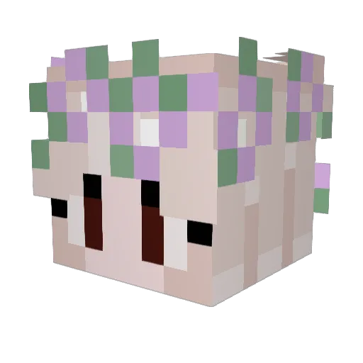 MommyWithATummy Minecraft avatar head, 3D render