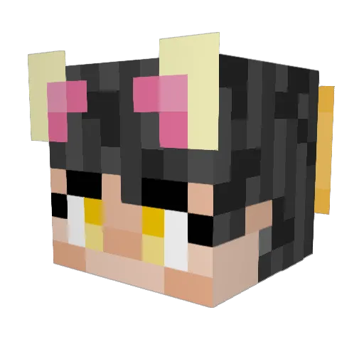 MomoDuckieMD Minecraft avatar head, 3D render
