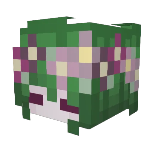 Momocore1996 Minecraft avatar head, 3D render