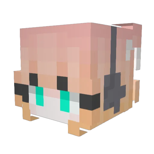Momody_ Minecraft avatar head, 3D render
