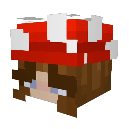 Momof7 Minecraft avatar head, 3D render