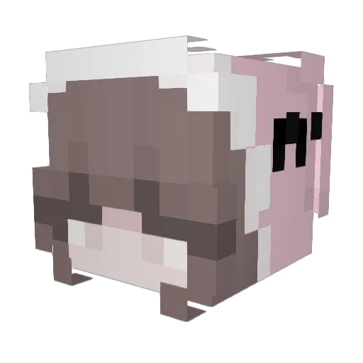 Momojerry Minecraft avatar head, 3D render