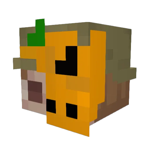 Minecraft-Avatar von MomookrFanboy: Kopf als 3D-Render