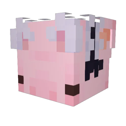 Momowalk Minecraft avatar head, 3D render