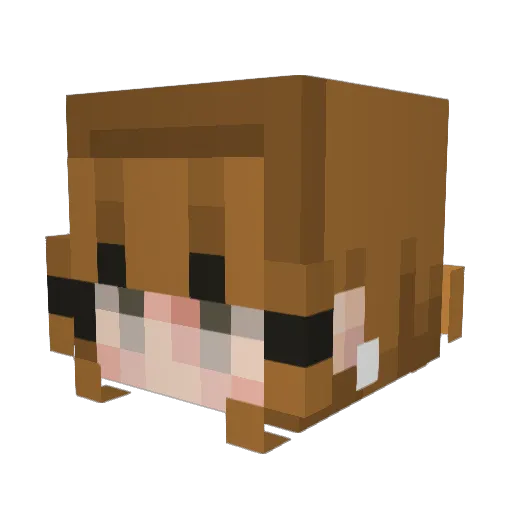 Mon2772 Minecraft avatar head, 3D render