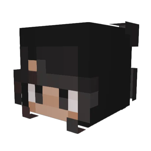 MonChoixEstFait Minecraft avatar head, 3D render