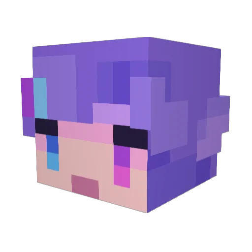 MonTree2448 Minecraft avatar head, 3D render