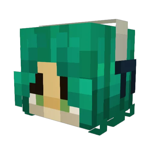 Monadenium Minecraft avatar head, 3D render
