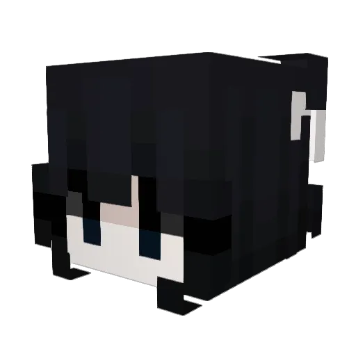 Monarch2200 Minecraft avatar head, 3D render