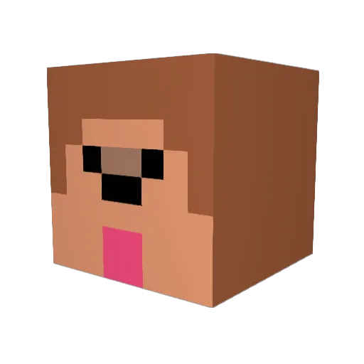 Monchi1 Minecraft avatar head, 3D render