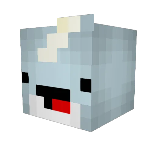 Mondo1138 Minecraft avatar head, 3D render