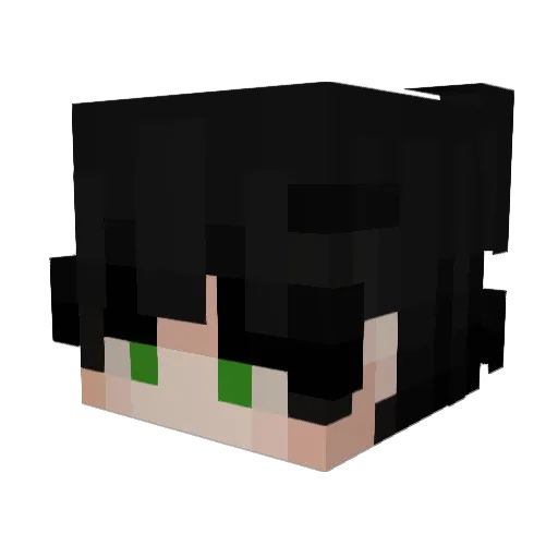 Mondsurfer Minecraft avatar head, 3D render