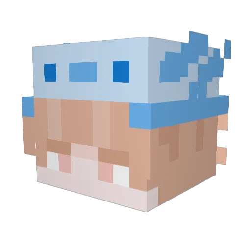 Monerball Minecraft avatar head, 3D render