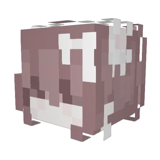 MoneroMoney Minecraft avatar head, 3D render